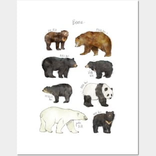 Bears Posters and Art